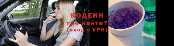 дживик Костерёво