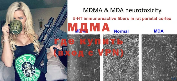 молекула духа Козловка