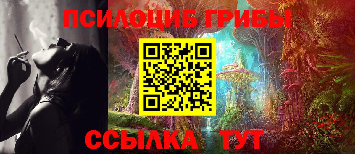купить   Вход с VPN  Мелеуз  Псилоцибиновые грибы Cubensis 