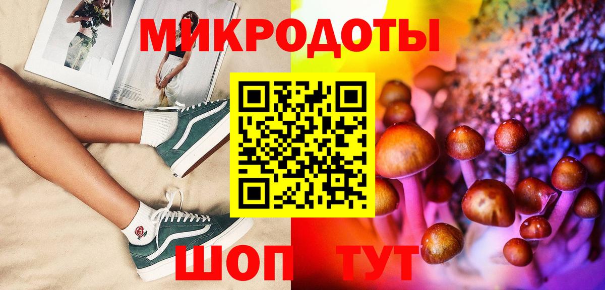 Псилоцибиновые грибы Psilocybe  Вход с VPN  Псилоцибиновые грибы ЛСД  Мелеуз 