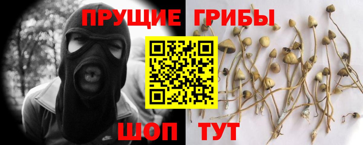 Галлюциногенные грибы Psilocybine cubensis Мелеуз