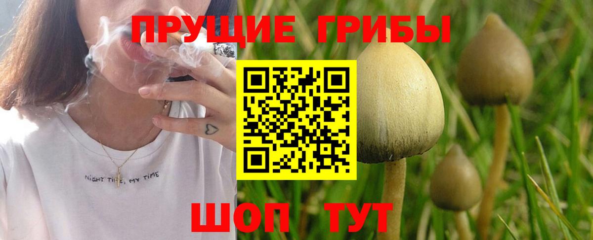 Галлюциногенные грибы GOLDEN TEACHER Мелеуз